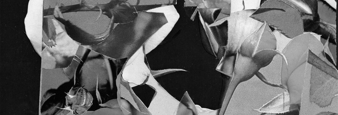 Very abstract black and white photo. Cut out angular shapes, some reminiscent of leaves, others of strange paper. In the middle, a black, gaping opening.